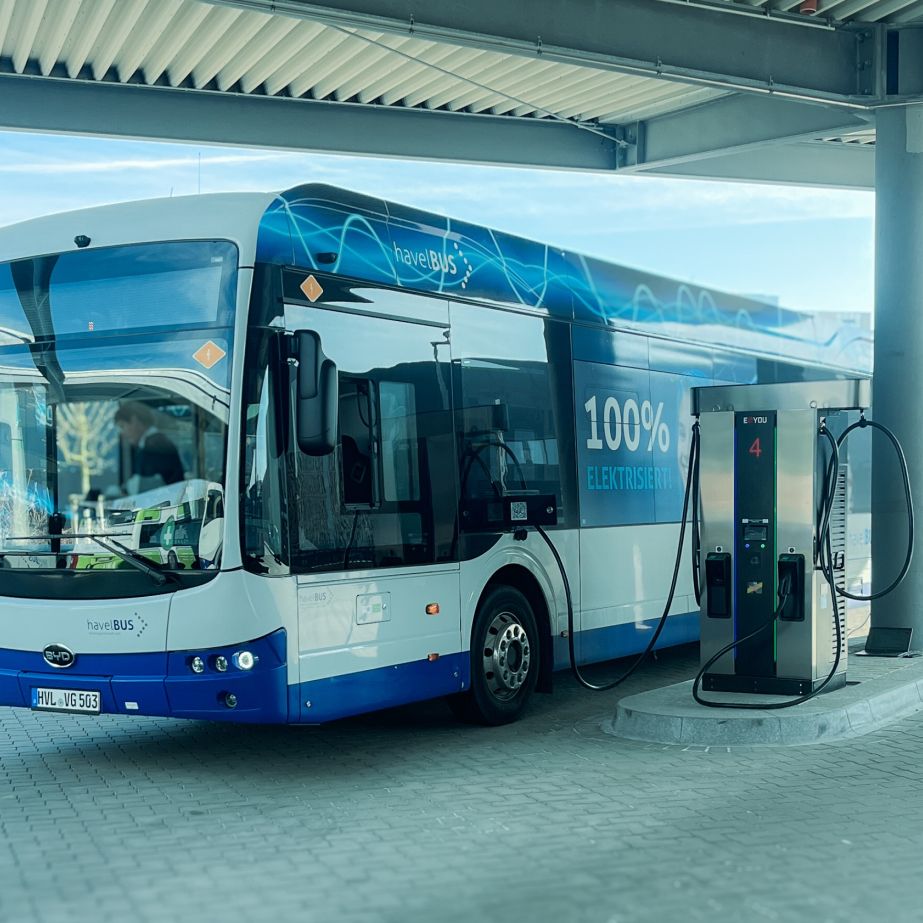 Havelbus Verkehrsgesellschaft
